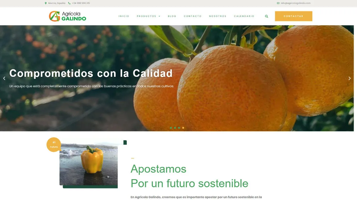 Web Corporativa Empresa Agrícola